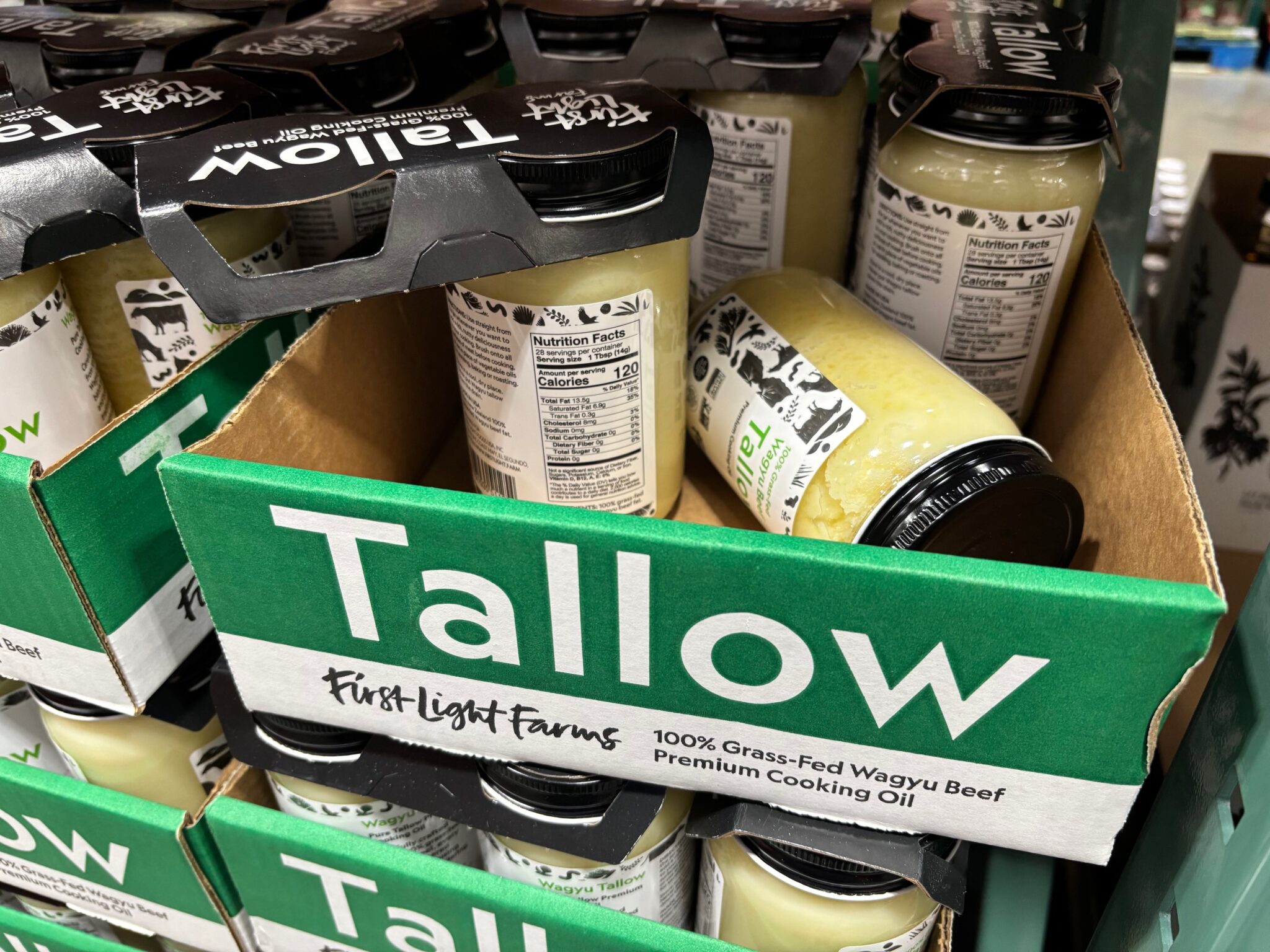 Into the Tallow End - Common Reader