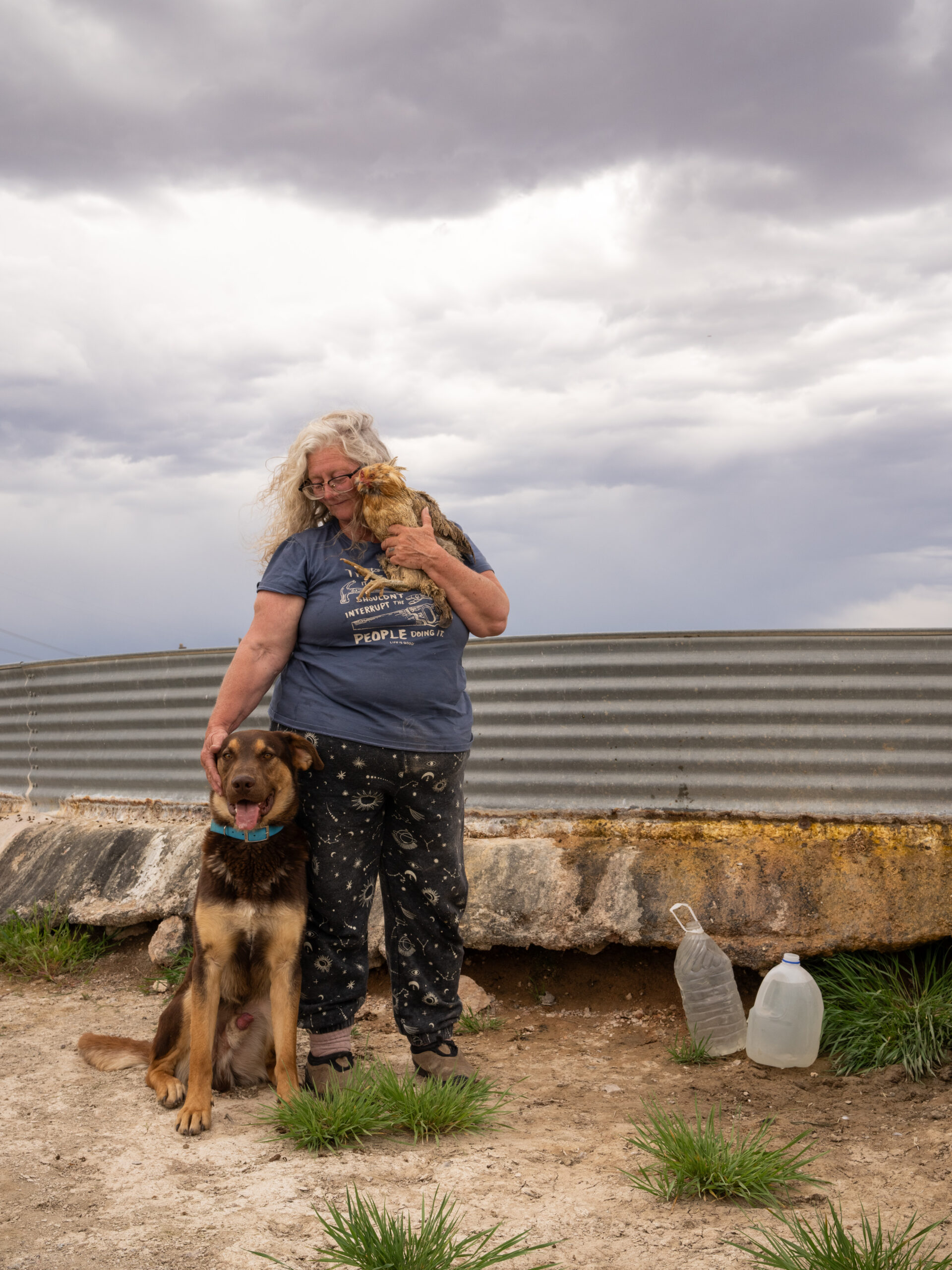 Carole Alden Last Chance Rooster Ranch