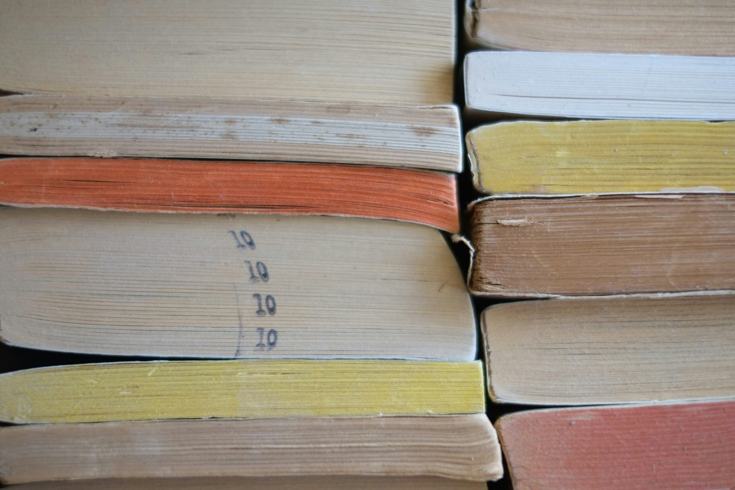 paperback books (Photo by Laura Rivera via Unsplash)