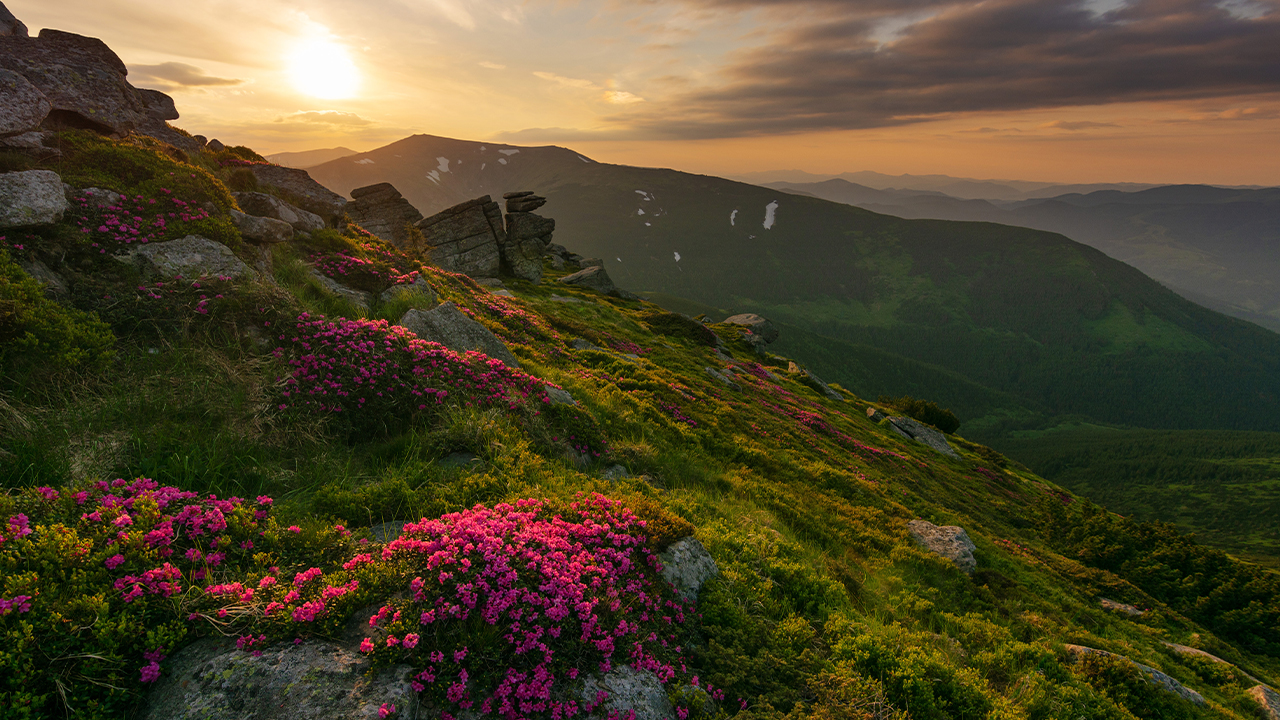 Carpathian National Nature Park, Ukraine