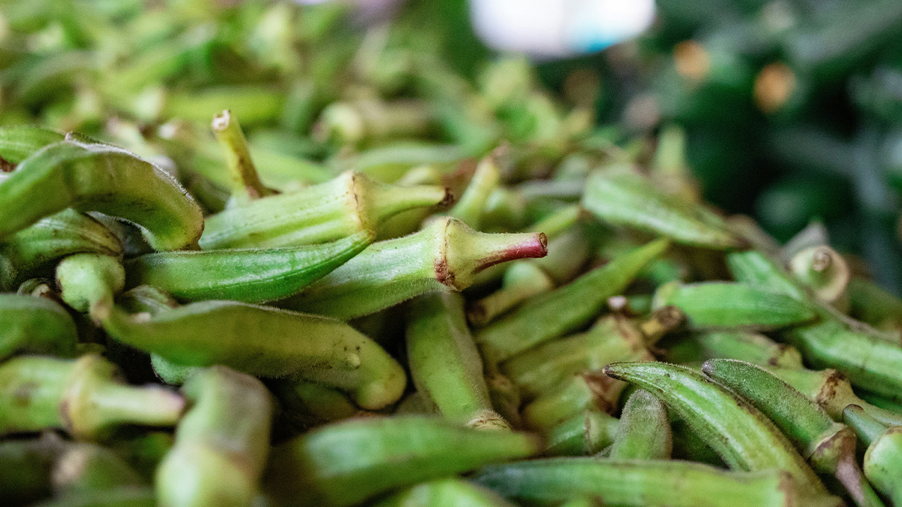 Okra