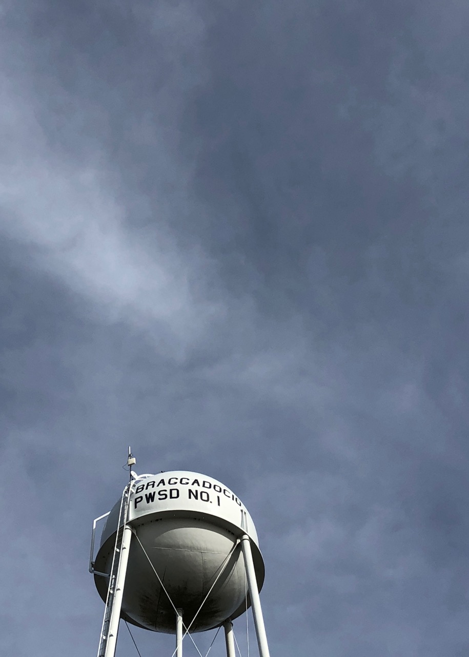 Seeing Braggadocio Common Reader