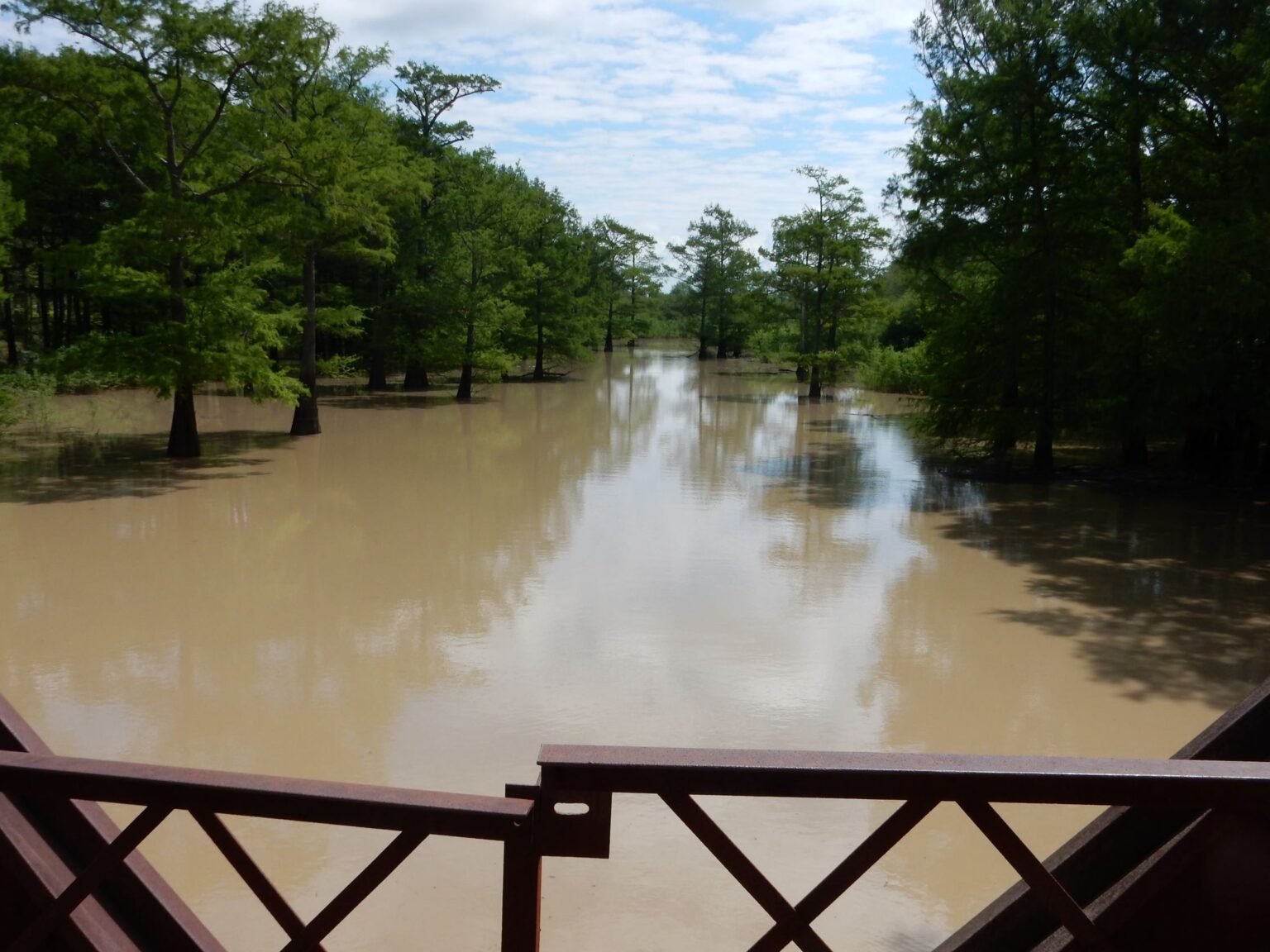 Emmett Till The Horror Never Ended Common Reader